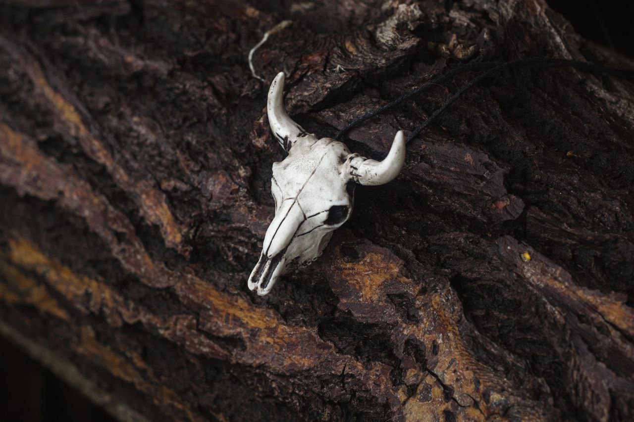 Wisiorek Сzaszka byka - ręcznie robiony