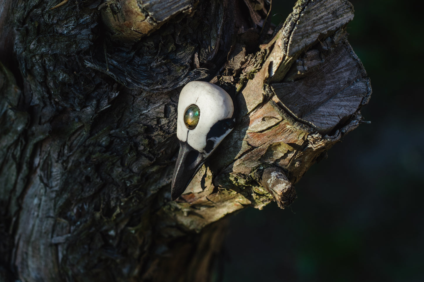 Raven skull with moon pendant - handmade