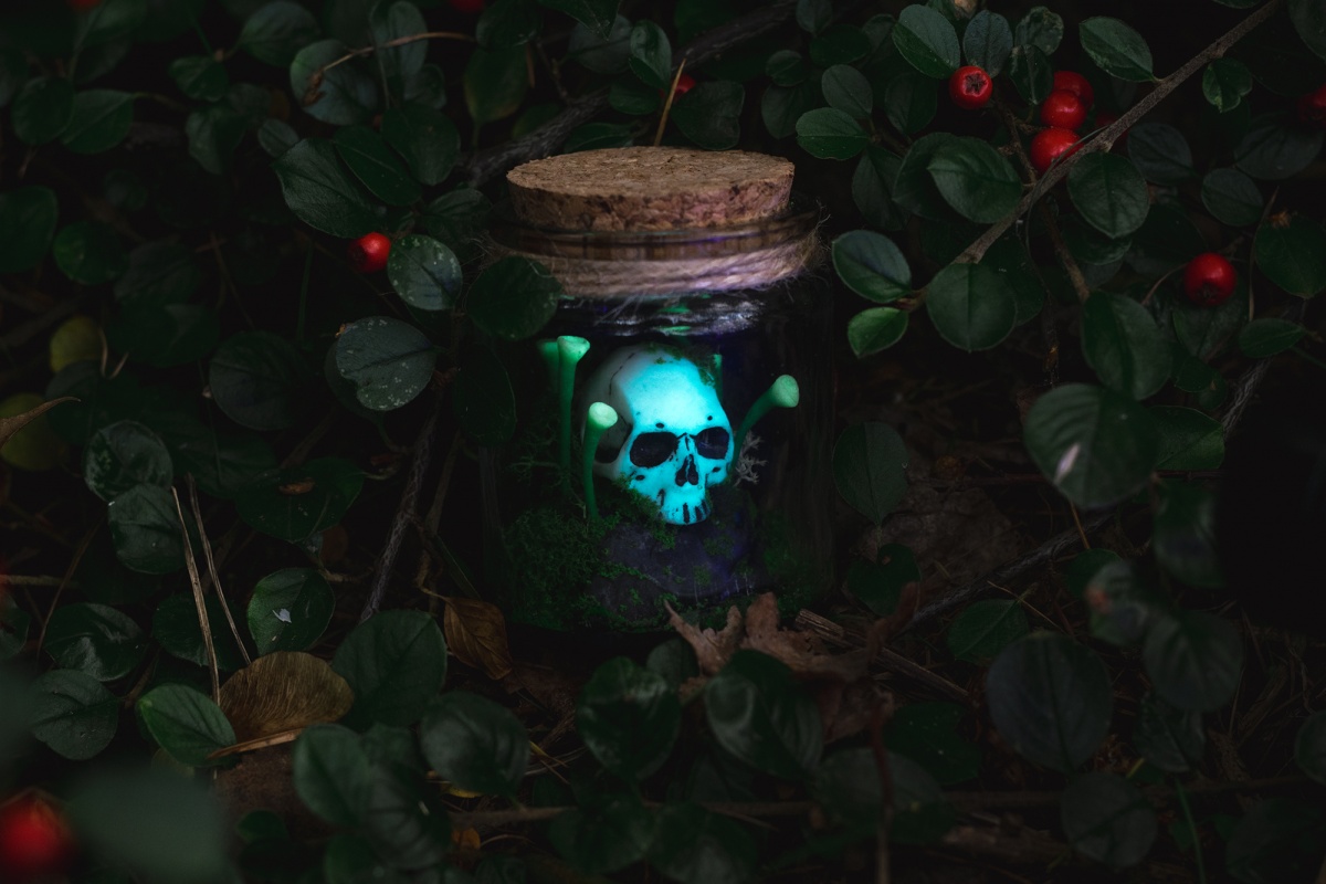 Mała diorama z czaszką i grzybami, dekoracja swiecąca się w nocy