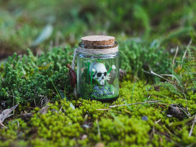 Mała diorama z czaszką i grzybami, dekoracja swiecąca się w nocy