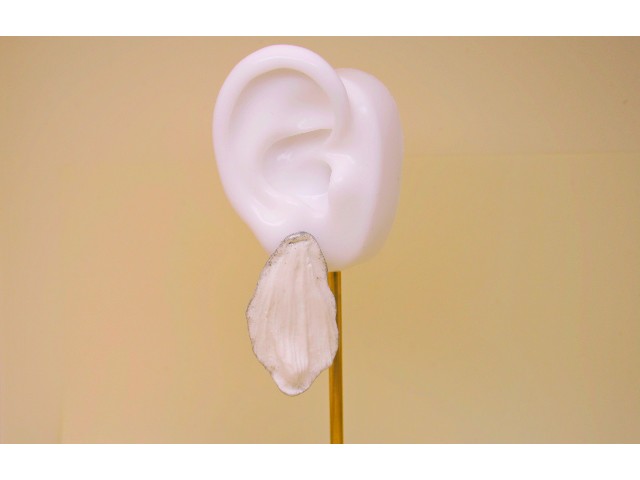 Melodia kwiatów – kolczyki z nutą natury