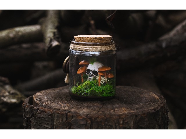 Mała diorama Zaczarowany zakątek – grzybowa kompozycja w słoiczku