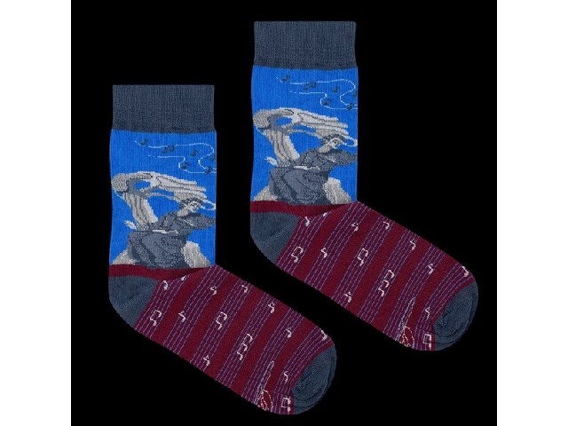 Skarpetki Szopen Pomnik 42-46