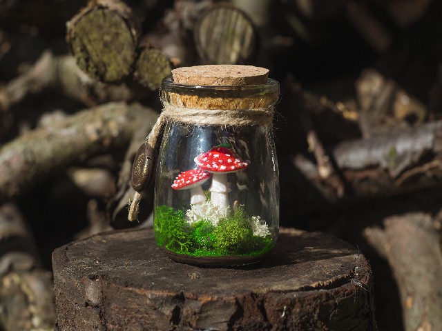 Mała diorama Zaczarowany zakątek – muchomory w buteleczce