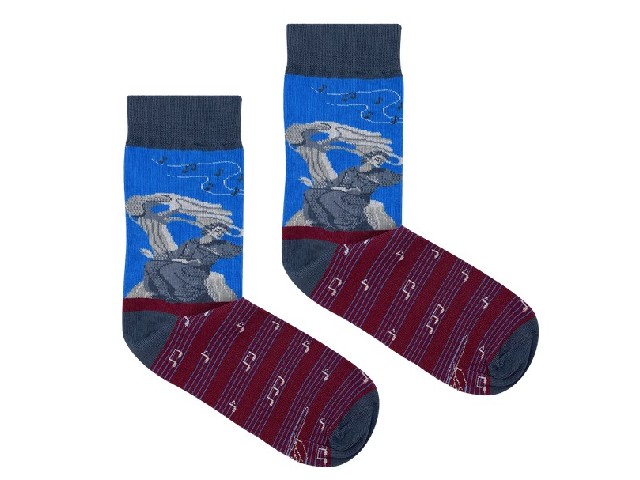 Skarpetki Szopen Pomnik 37-41